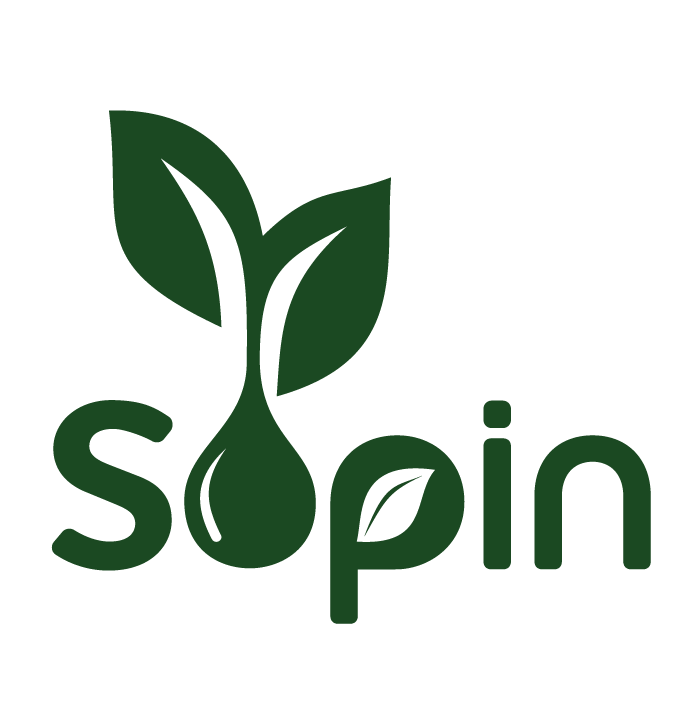 SOPIN-seminar